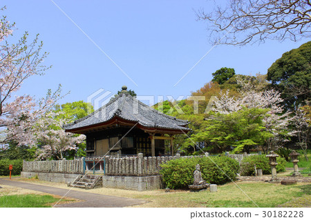 Kakegawa Ancient Tennozan Ryuguin 30182228