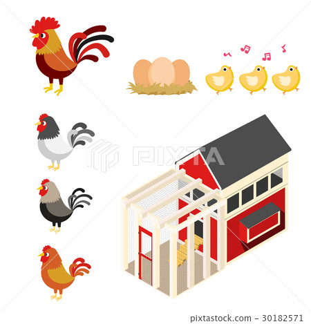 chicken coop illustration set 30182571