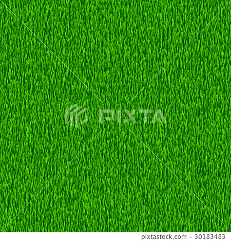 Green grass. Textured vector background Green grass. Textured vector background 30183483
