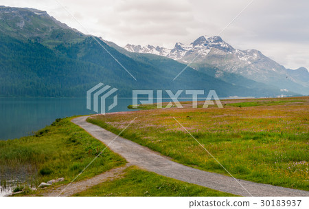 Landscape view at lake Silvaplana, St.Moritz,Switz Landscape view at lake Silvaplana, St.Moritz,Switz 30183937