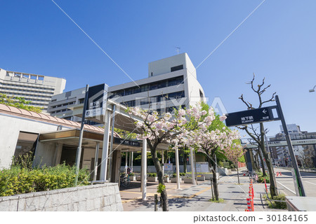 Nagoya City Mizuho City Urban Scenery Circle Line Ring Cherry Blossoms and Nagoya Municipal Subway Sakurayama Station Number 3 Entrance Nagoya City Mizuho City Urban Scenery Circle Line Ring Cherry Blossoms and Nagoya Municipal Subway Sakurayama Station Number 3 Entrance 30184165