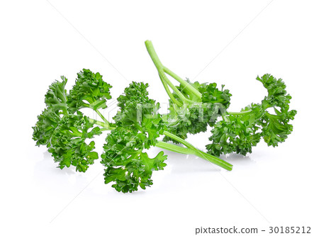 parsley isolated on white background 30185212