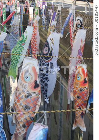 Carp streamer Carp streamer 30185447