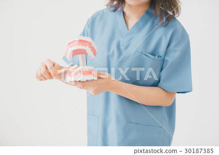 dentist, female, lady 30187385