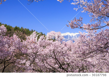 Takato Castle Ruins Park 30187798