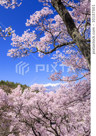 Takato Castle Ruins Park 30187801