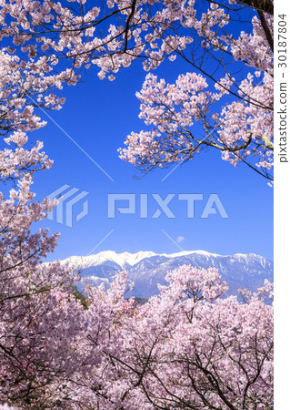 Takato Castle Ruins Park Takato Castle Ruins Park 30187804