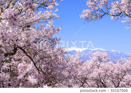 Takato Castle Ruins Park 30187806