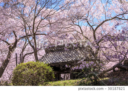 Takato Castle Ruins Park 30187821