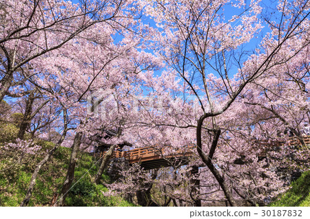 高田城遺址公園 30187832