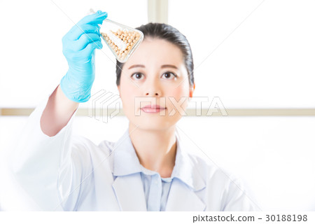 Researcher and microscope with a GMO soya 30188198