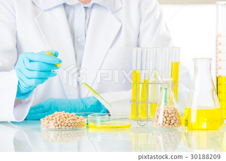 Asian female scientist doing soya genetic 30188209