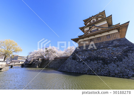 在高島城堡的櫻花 在高島城堡的櫻花 30188278