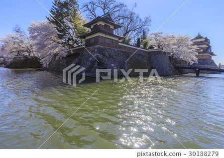 在高島城堡的櫻花 在高島城堡的櫻花 30188279