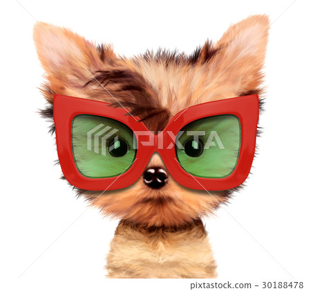 Adorable puppy with sunglasses, isolated on white. 30188478
