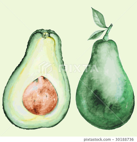 Watercolor avocado Watercolor avocado 30188736