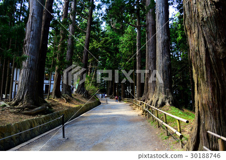 World Heritage Sekiyama Chusonji 30188746