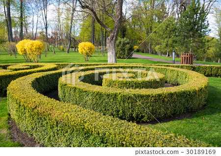 Garden with topiary landscape. Landscaping in the Garden with topiary landscape. Landscaping in the 30189169