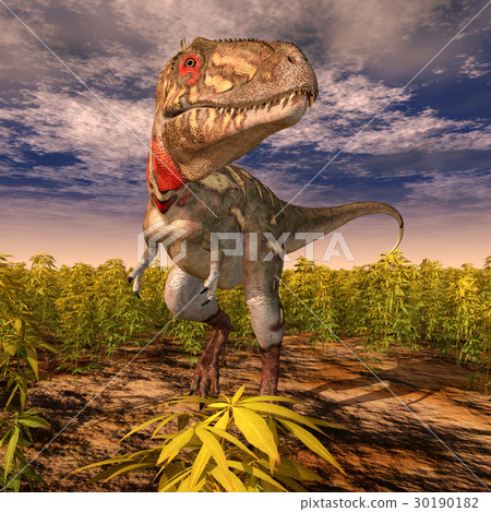 Dinosaur Nanotyrannus Dinosaur Nanotyrannus 30190182