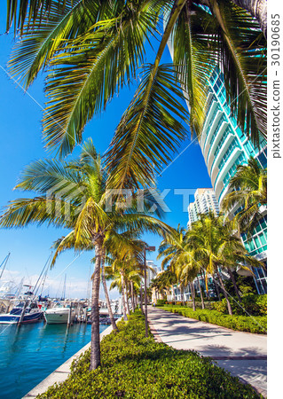 View of the marina in Miami Florida View of the marina in Miami Florida 30190685