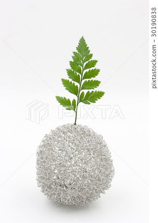 fern leaf in vase on white background 30190838