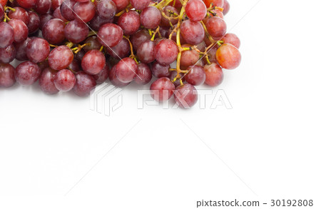 red grapes on a white background red grapes on a white background 30192808