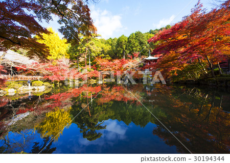 Daigoji in autumn Kyoto · Autumn leaves 30194344