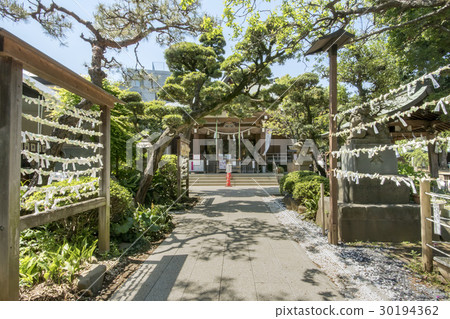 元森八幡神社 元森八幡神社 30194362