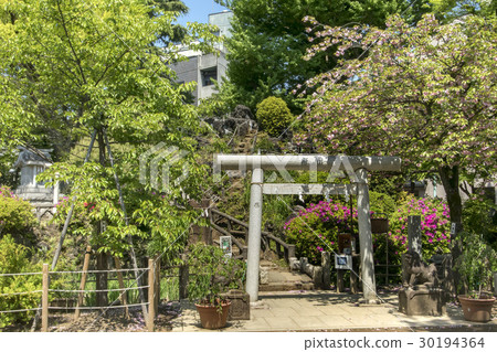 元森八幡神社 30194364