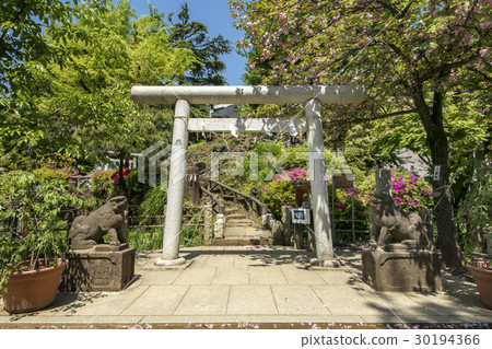 元森八幡神社 30194366