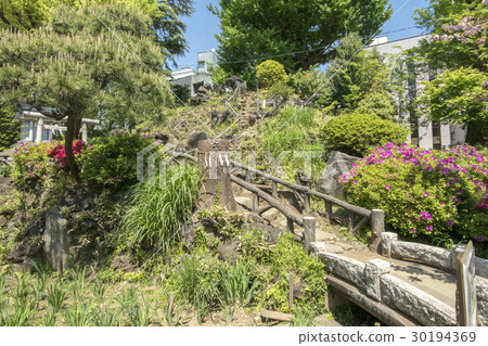 Hatomori Hachiman Shrine Hatomori Hachiman Shrine 30194369