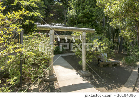 Hatomori Hachiman Shrine Hatomori Hachiman Shrine 30194390