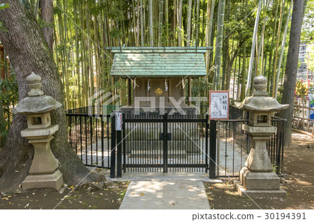 元森八幡神社 30194391