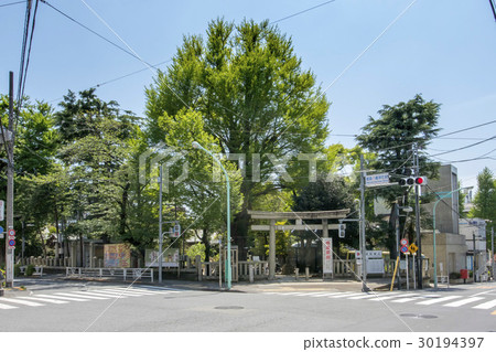東京都澀谷區千馱谷的鳩之森八幡宮 東京都澀谷區千馱谷的鳩之森八幡宮 30194397