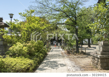 Hatomori Hachiman Shrine 30194415