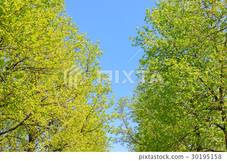 Fresh green turquoise frame 30195158