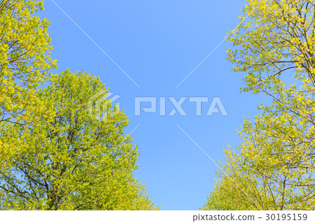 Fresh green turquoise frame Fresh green turquoise frame 30195159