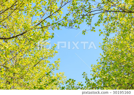 Fresh green turquoise frame 30195160