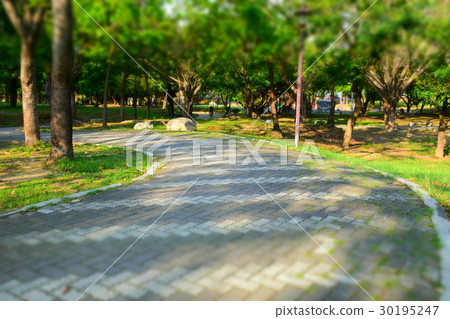 公園,休閒,運動,綠意,綠茵,散步,夏日,夏天,陽光,逆光,光影,步道 30195247