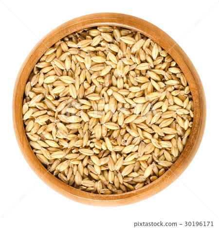 Hulless barley in wooden bowl over white Hulless barley in wooden bowl over white 30196171
