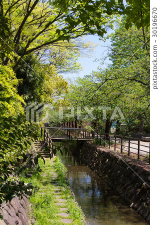 Brook of Musashi Kosugi 30196670