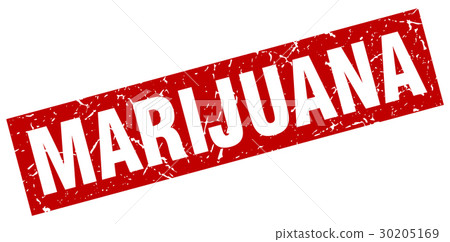 square grunge red marijuana stamp 30205169