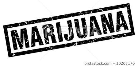 square grunge black marijuana stamp 30205170