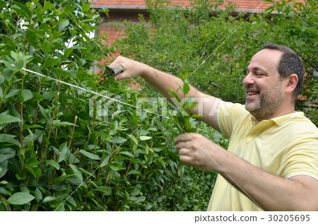 Cutting the Top of Hedge Cutting the Top of Hedge 30205695
