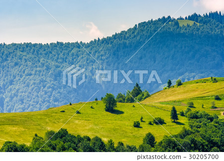 grassy hillside on mountain in summer grassy hillside on mountain in summer 30205700