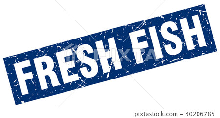 square grunge blue fresh fish stamp 30206785