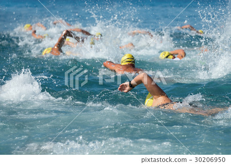 Group people in wetsuit swimming at sea Group people in wetsuit swimming at sea 30206950