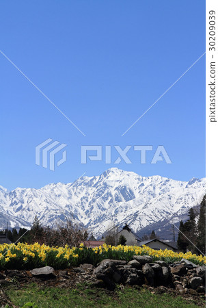 Spring Goryu dake of Hakuba Spring Goryu dake of Hakuba 30209039