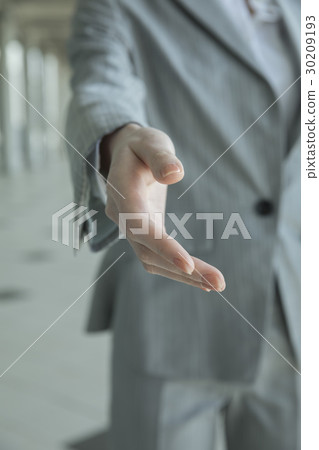 尋求握手的女商人 尋求握手的女商人 30209193