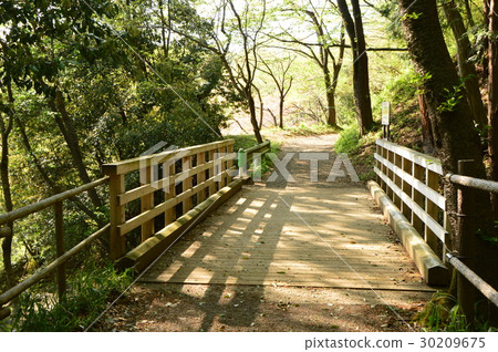春天的瀧山城遺址公園就像這個八王子市 春天的瀧山城遺址公園就像這個八王子市 30209675